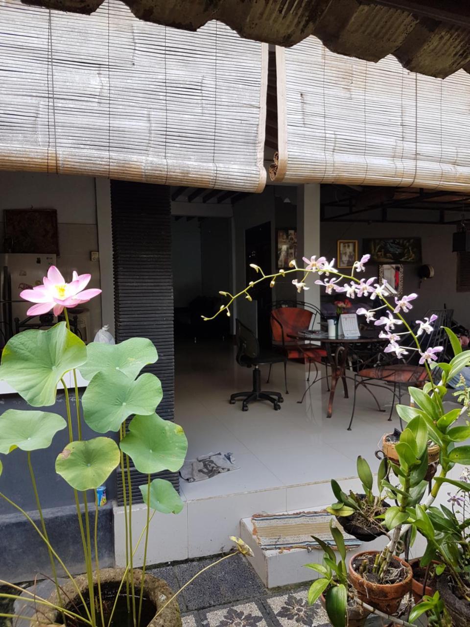 Mawar Homestay Canggu ภายนอก รูปภาพ