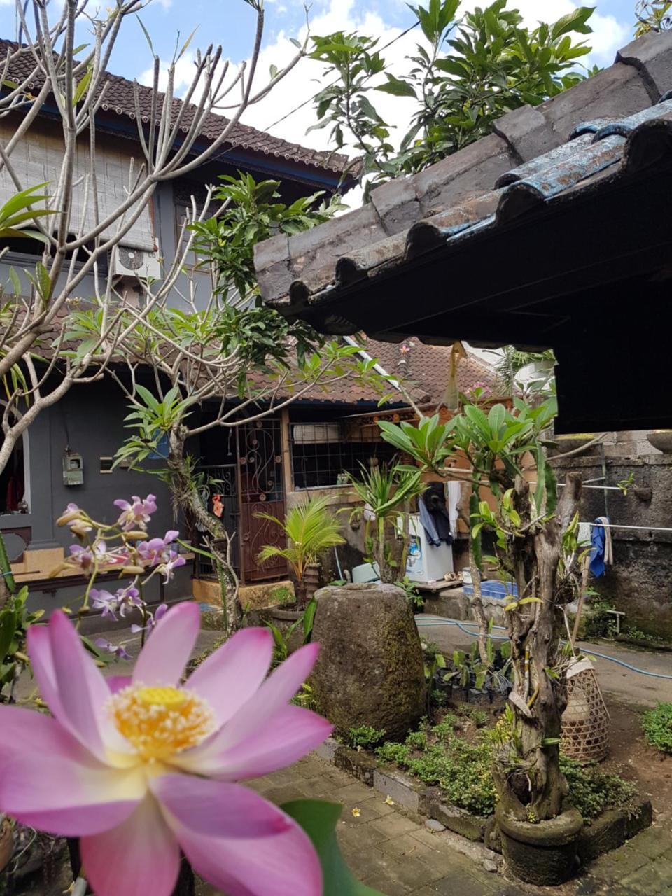 Mawar Homestay Canggu ภายนอก รูปภาพ